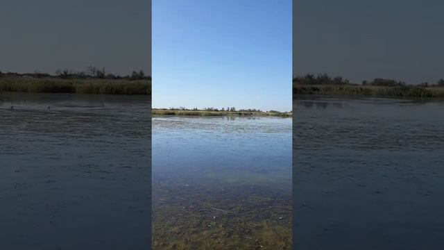 Рассейка. Мостик через лиман. #лебеди#Рассейка#дорогакпляжу смотреть онлайн