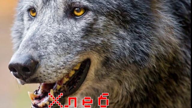 ~Яна угадывает слова на башкирском~ смотреть онлайн