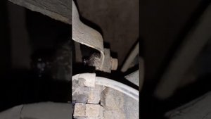Пежо 308, положил шайбы под задний ступичный подшипник(под цапфу). задняя балка искривлина. ЧАСТЬ 1