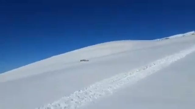 Приисковый снежный барс смотреть онлайн