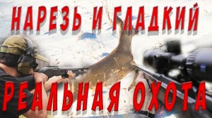 Добыли косулю сибирскую с карабина и гладкого. We got Siberian roe deer with a carbine and a smooth