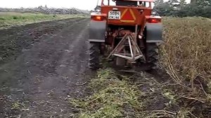 Удаление ботвы триммером на Т-25