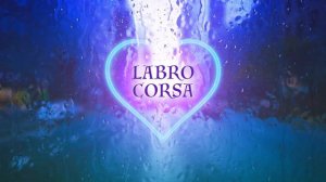 Просто Лера - Лютики (Slowed reverb original remix by Labro Corsa) sad edits🎵 With Rain 🌧️ [Tiktok]