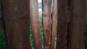 Забор из горбыля и необрезной доски. Заключение.