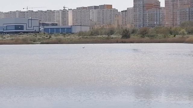 Водопады на Луначарского Фламинго в Новороссийске. Выдра. #полезныевыходные, #походысдетьми, #поход