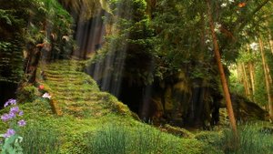 ФУТАЖ СКАЗОЧНЫЙ ЛЕС НАЧАЛО ДЕТСКОГО ФИЛЬМА