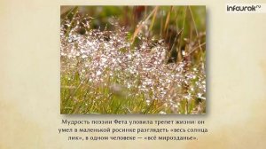 Афанасий Афанасьевич Фет. Стихотворение «Ель рукавом мне тропинку завесила...»