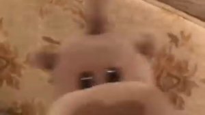 Как правильно какать (часть первая)