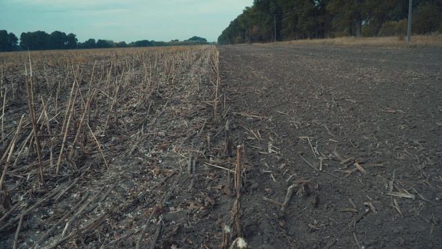 Важкий дисковий лущильник ЛДТ-6 осіння обробка після збирання соняшника смотреть онлайн