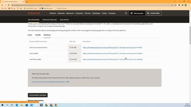 How to download and install Java on Windows? смотреть онлайн