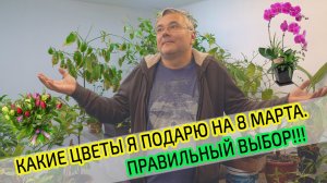 Выбираем цветы на 8 марта. Какие цветы любят женщины, срезанные или в горшках? Правильный выбор!