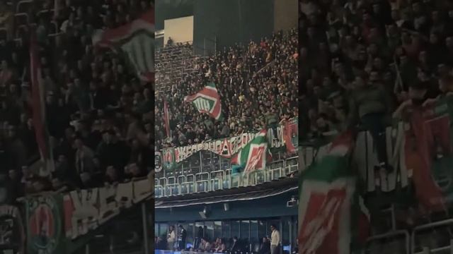 Фанат Зенита устроил стычку с болельщиками Локомотива на матче в СПб