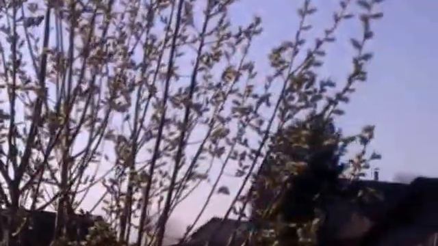 Красота Пермского края смотреть онлайн