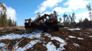 Погрузка хлыстов челюстным погрузчиком ПЛ-1 на КрАЗ-260!