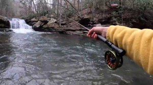 My first Trout of 2024! (Fly Fishing for Brook, Rainbow, and Brown Trout)