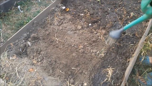 Как обеззаразить почву от грибковых заболеваний после сбора урожая.