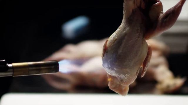 A zsenialitás szikrája | UNOX смотреть онлайн