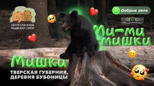 СпецДорПроект о мишках из Центра спасения медвежат-сирот