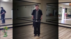 HUNG GAR KUNG FU - FIVE ANIMALS FORM AND APPLICATIONS
