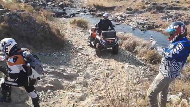 CF 800 смотреть онлайн