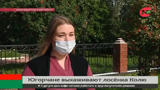 Лосёнок Коля из деревни Вата не хочет уходить в лес смотреть онлайн