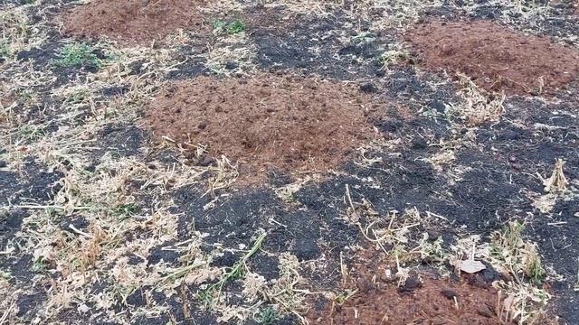 Разрыхления тяжёлой почвы. Тяжёлый грунт привёл к плохим последствиям... смотреть онлайн