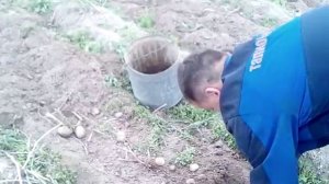 Культиватор тарпан ходоуменьшитель