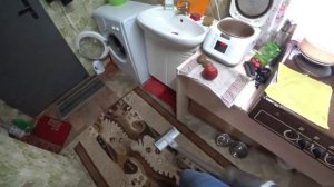 Ловлю мышей