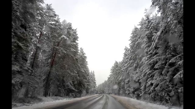 Мой фильм Причуды природы