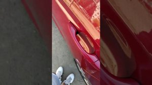 Ремонт ручки двери Хендэ Элантра АД 2017