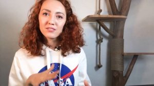 DIY Домик дерево для кота / когтеточка своими руками