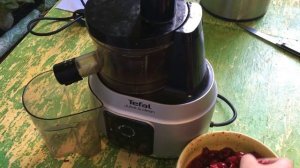 TEFAL ZC 420e38 screw juicer, шнековая соковыжималка