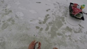 Ловля леща, плотвы и густеры зимой на мормышку.  Зимняя рыбалка 2019