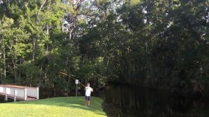 Better Fly Casting: Improve your fly casting(with less effort)