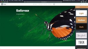 Adobe Spark, урок 5: Создание веб-страницы в Spark Page