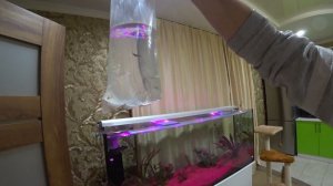 Запуск 500 литрового аквариума у себя дома. ТОП травник - ФИНАЛ!