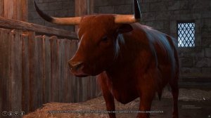 Baldur's Gate 3 Странный вол