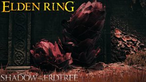 Гуляю по DLC NG+ x4 Elden Ring Shadow of the Erdtree