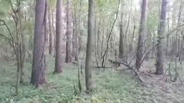 ПРИЗВАТЬ НА ПОМОЩЬ РОД ВЕДЬМЫ ИНГИ. ВЕДЬМИНА ИЗБА смотреть онлайн