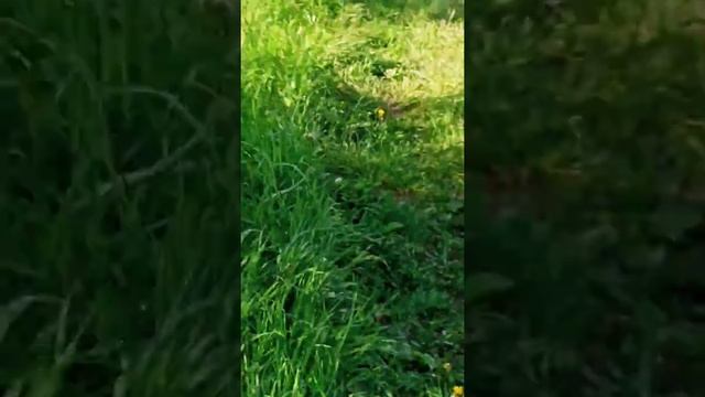 кто про праздник, а я про веники смотреть онлайн