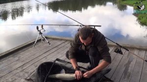 Карповая рыбалка Михайловка Часть 2