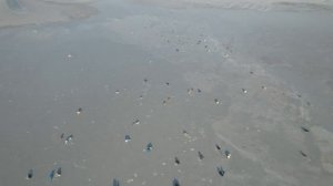 Первый выезд на лед Тавричанка , ловля  Наваги