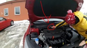 Где VIN Kia Optima