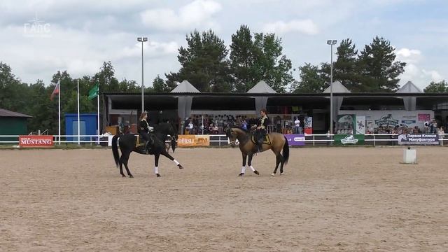 СИНЕРГИЯ: андалузские жеребцы и американские миниатюрные #лошади #Иппосфера 2021 #ИДАЛЬГО смотреть онлайн