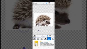 Как аккуратно вырезать (отделить) предмет от фона.