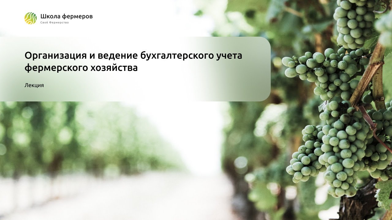 Организация и ведение бухгалтерского учета фермерского хозяйства