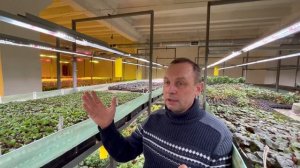 Цветочный бизнес на рассаде|Сеянцы и черенки в подвале