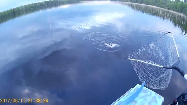Рыбалка в Карелии июнь 2017,д. Медведева, космозеро!!!