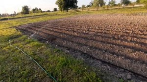 Разбрызгиватель, дождеватель для полива от насоса "Ручеек"