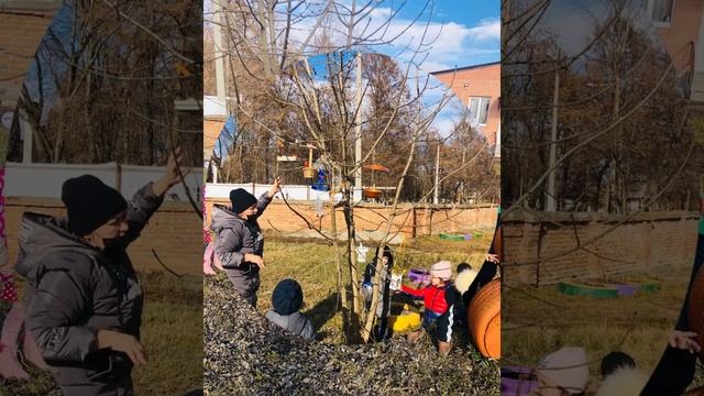 Тематический день в средней группе День Зимующих Птиц,15 января, 2021 смотреть онлайн
